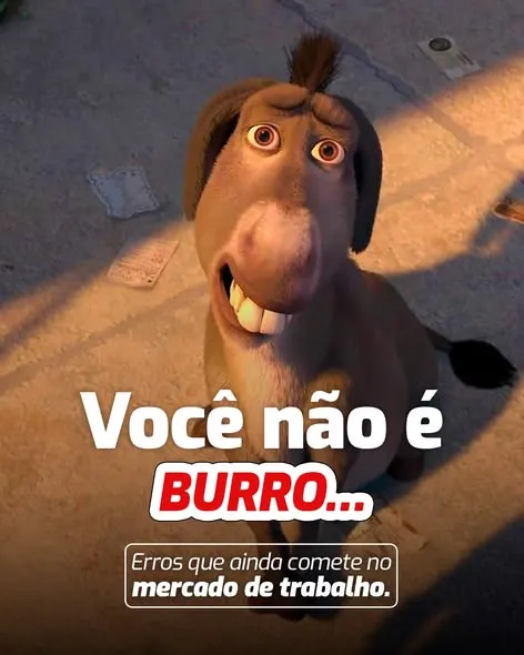 Você não é burro.