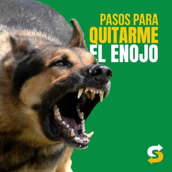 Es que cuando el hambre ataca, no hay quien aguante. Pero cero estrés, en Subway te resolvemos. 🤤