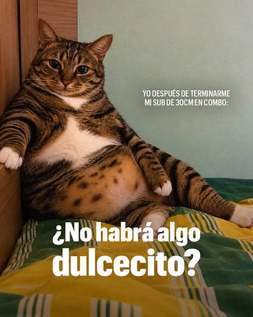 Porque no importa qué tan lleno estés… siempre existe un espacio misterioso para el postre. 🤭🍪