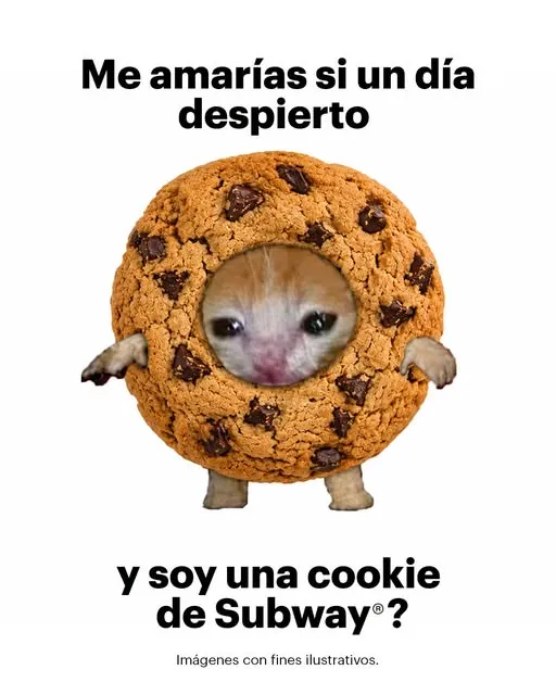 Ya fuiste si te etiquetaron acá