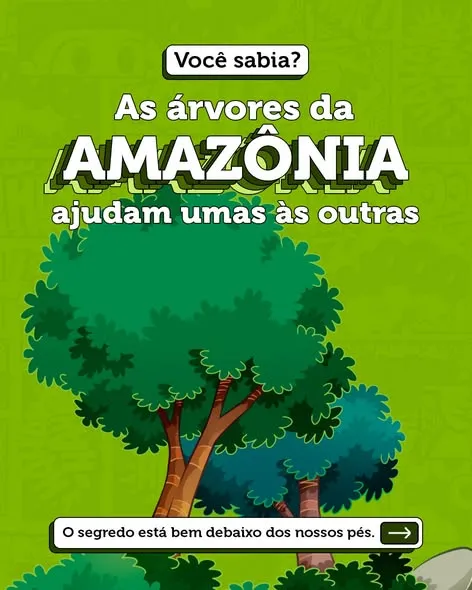 A Amazônia guarda muitas histórias que parecem mágicas, mas são ciência. 🌳