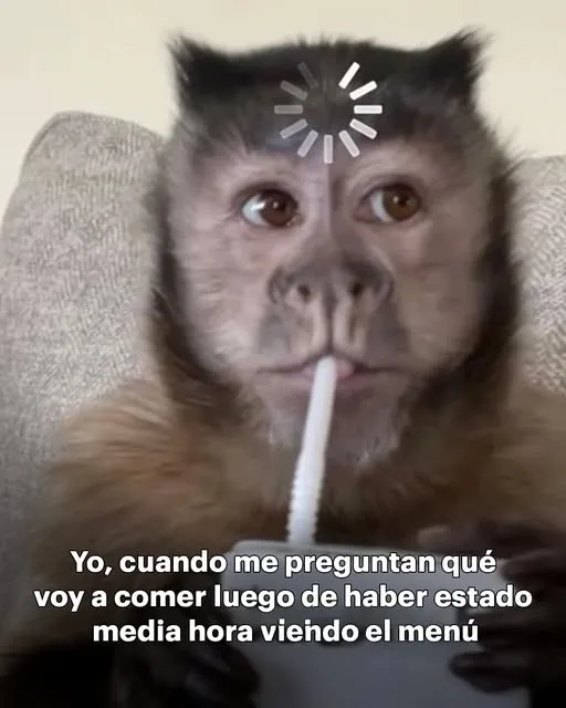 Simiobesiono con todos los Sub, es por algo...